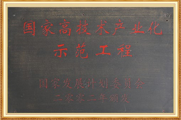 國家高技術産業化示範工程2002年